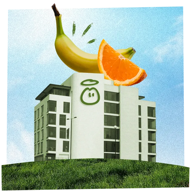 innocent offices